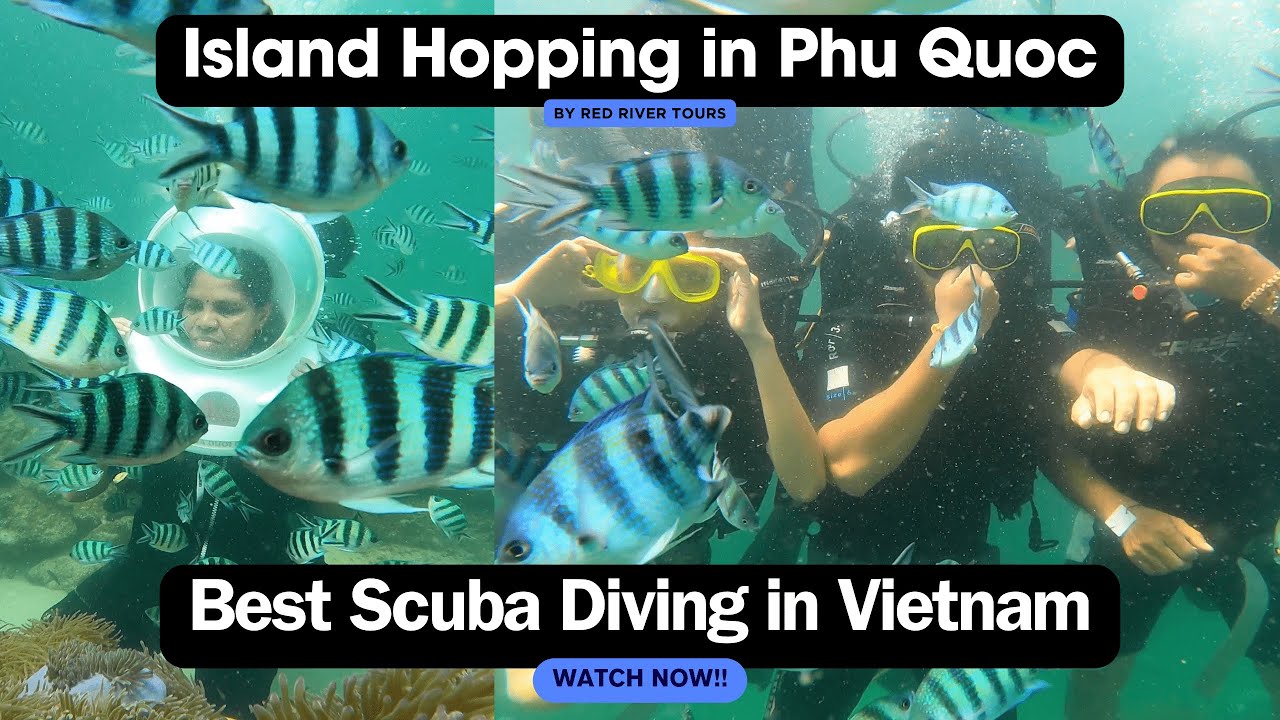 Explore the crystal-clear waters of Phu Quoc, uncovering colorful coral reefs and diverse underwater ecosystems.