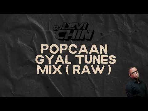 POPCAAN HITS GYAL TUNES MIX  ( RAW ) | DJ LEVI CHIN