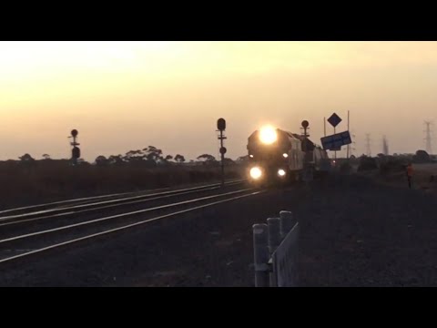 9186 BG QUBE grain at Gheringhap