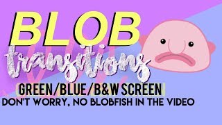 BLOB TRANSITIONS!