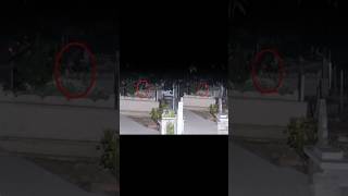 Download lagu Çorum'da mezarlıkta Ağlayan kıza Ne Oldu? #mezarlık  #kizomba #çorum #aglamak mp3