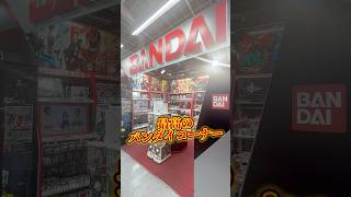 【話題?】ヨドバシカメラのバンダイコーナーにやってきたらあまりにも最高すぎた #kamenrider #仮面ライダー #sale #shorts #art #amazing #amazon #a