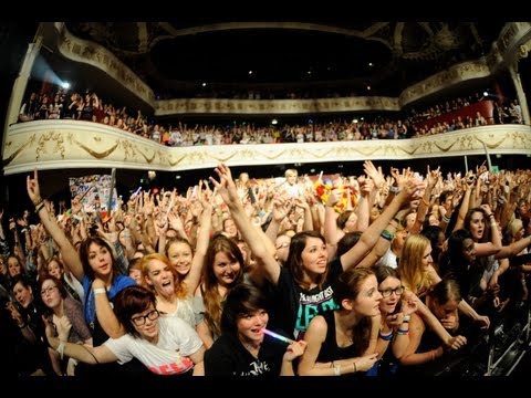 I Kicked a Shark in the Face - The Midnight Beast