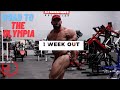 1 Week Out | Road to the O | Hunter Labrada