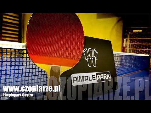 Recenzja deski Pimplepark - Castro | Review Blade | Czopiarze.PL