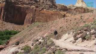 preview picture of video 'Capitol Reef National Park'