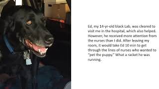 heart transplant journey