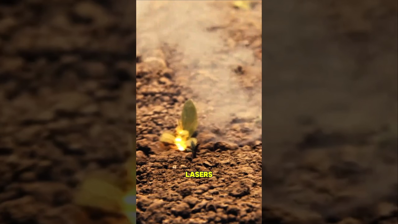 Laser weeding robot, equipped with over 30 high-definition cameras and AI technology.