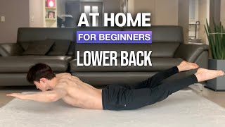 Beginner Lower Back Workout (No Equipment l Easy routine - At Home)ㅣ세상에서 제일 쉬운 허리 운동 (왕초보 홈트 루틴)