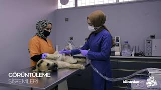Kılıçarslan Veteriner Kliniği