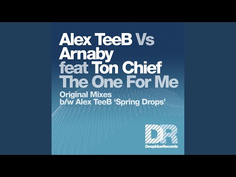 The One For Me (Original Mix)
