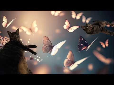 Mondo Grosso - Everything Needs Love (Feat. BoA)