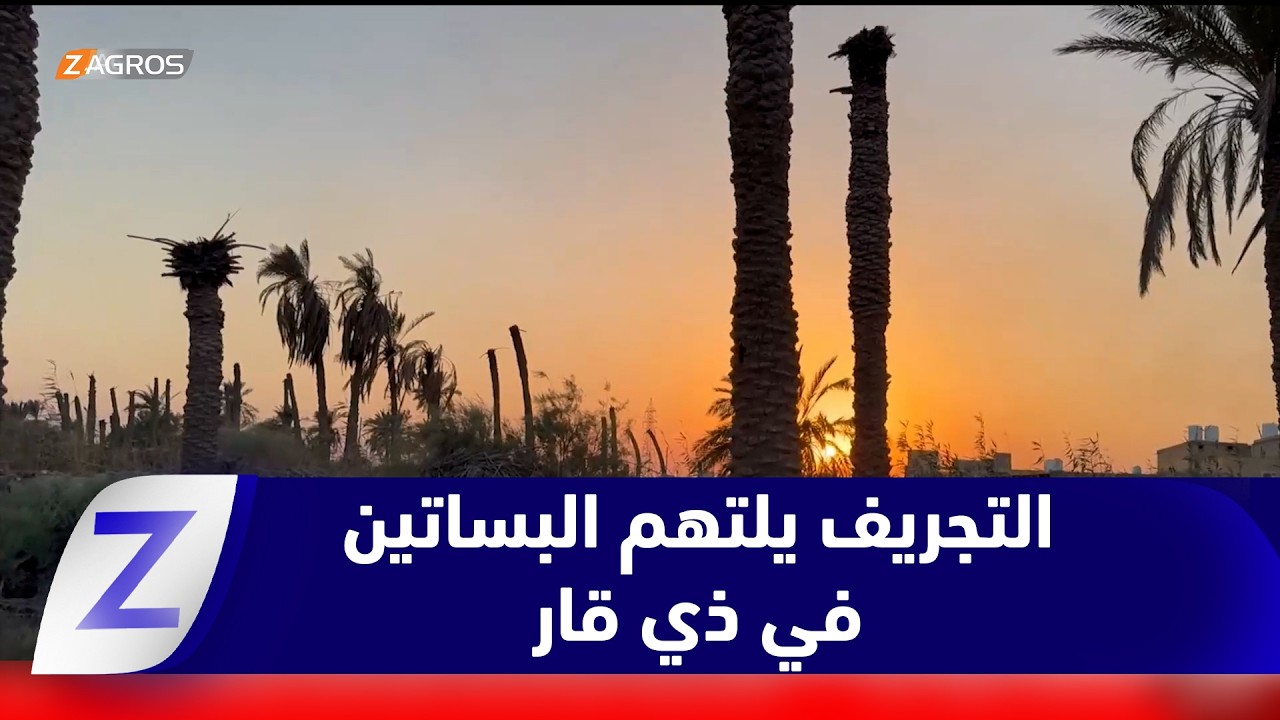 فيديو | ذي قار..   التجريف يلتهم البساتين ويحوّل الأراضي الزراعية إلى سكنية