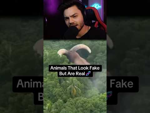 Animale Facke 😮 #iacobgigi #fy #entertainment #animals