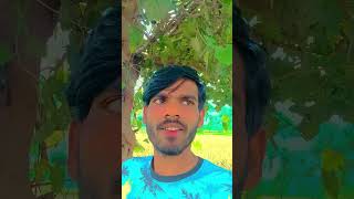 Download lagu #hungergamestiktok mp3