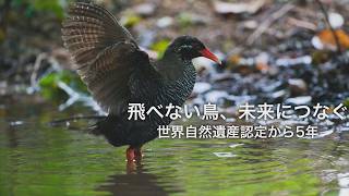 飛べない鳥、未来につなぐ 世界遺産登録から5年