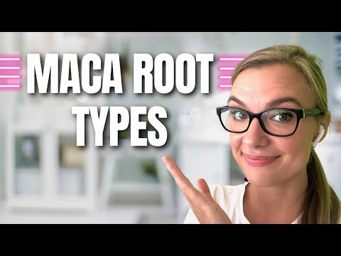 Maca Powder Benefits - Maca types (yellow, red, black)
