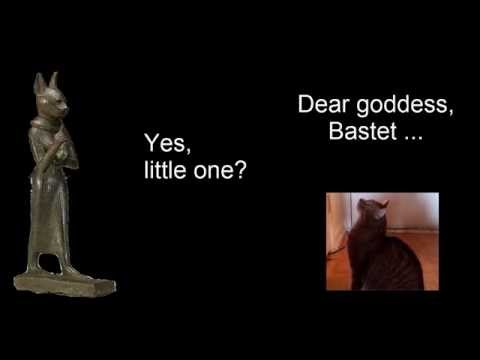 BSC Short: One Cat's Prayer for Justice