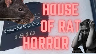 Another 2 YEAR RAT INFESTATION solved in a DAY!!! SEE how to get rid of rats NOW