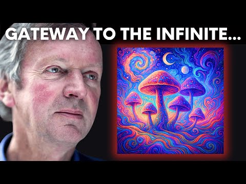 Psychedelics & Consciousness | York Drug Society