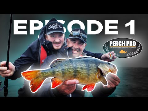 PERCH PRO 8 - Episode 1 (Deutsche untertitel)