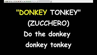 Zucchero - Donkey Tonkey   (Karaoke  Devocalizzata)