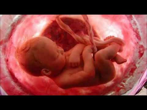 2 HORAS SOM DO UTERO   ORIGINAL   - ACALMA BEBÊS - MÚSICA DE NINAR