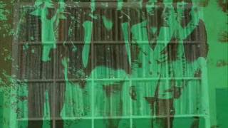 Holland - Magic Mary video