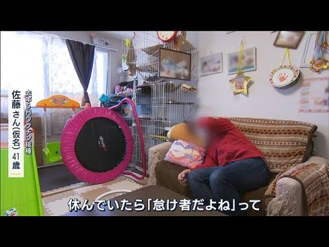 コロナでサメ死亡?ワクチンには厄介な副作用がある可能性がある