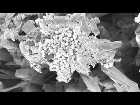 Al Jazeera Svijet 10.04.2016. - Nedjelja 21:30