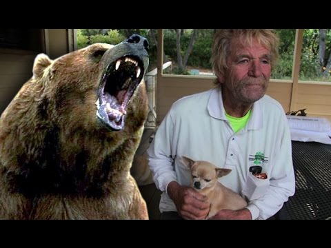 Placer County Man Punches Bear In Face To Save His Dog
