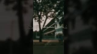 Download lagu Story WA| Tulus - Interaksi | Cover David Sijabat | lirik | 30 detik #shorts mp3