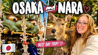 Feeding Deer in Nara & Exploring Osaka's Hidden Gems!