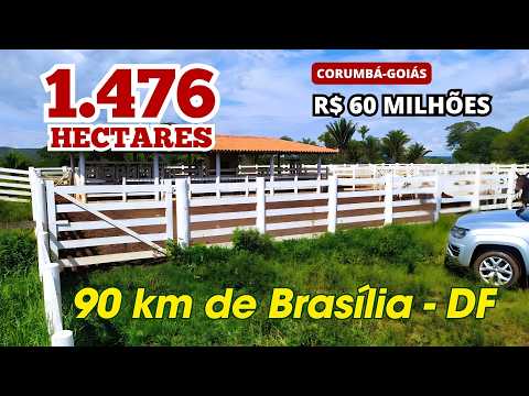 FAZENDA À VENDA EM GOIÁS | 1.476 HECTARES | 90 KM DE BRASÍLIA | R$ 60 MILHÕES