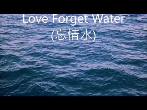 忘情水 (Love Forget Water) -  劉德華 (Andy Lau) - English lyrics