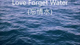 忘情水 (Love Forget Water) -  劉德華 (Andy Lau) - English lyrics