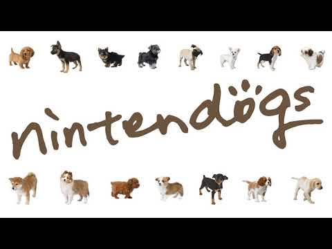Meet a Curious Dog -  Nintendogs