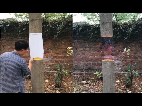 TOP 50 Very Satisfying Great Workers Compilation🙌😍