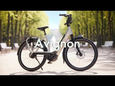 Gazelle Avignon | Comfortable e-bike | Royal Dutch Gazelle