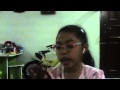 My Random Video