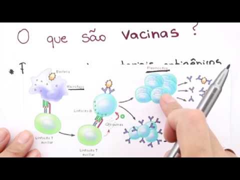 [AO VIVO] A Revolta da Vacina: uma abordagem não histórica. Me Salva!