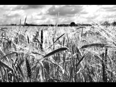 Ozanostra - Už geresnį rytojų (su žodžiais)