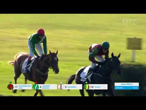 Velká Pardubická 2023