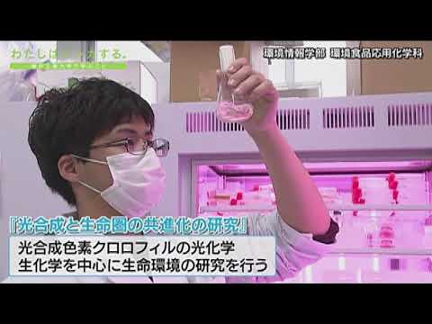 わたしはシンカする。大学院 工学研究科 応用理工学専攻 環境生命化学コース