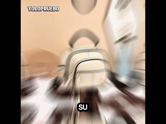 Vídeo relacionado con IGOLUMON Bolso Bandolera Mujer con Bolsillo Frontal Magnético Gran Capacidad Bolso Hombro de Mano con Cremallera Bolsos Universidad Trabajo Viaje Gimnasio Escuela Colegio Compras Uso Diario