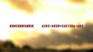 Knochenfabrik- 6CO2+6H2OC6H12O6+6O2