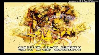 Crippled Black Phoenix - ________ (album White Light Generator)