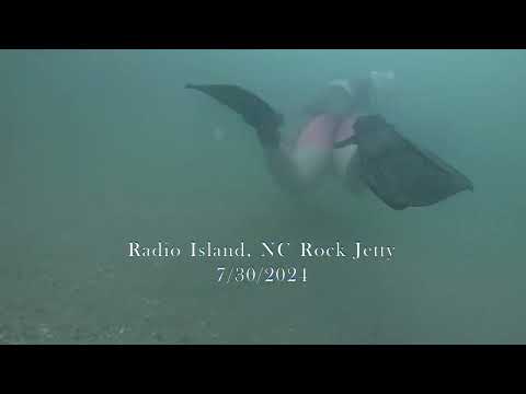 Diving Radio Island, NC