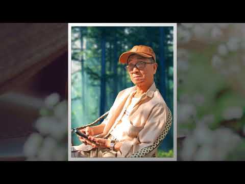 Áo tím màu thời gian - Quang Huyền