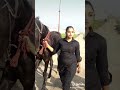 Punjabi Sexy